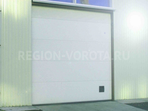 Секционные гаражные ворота DoorHan RSD-02 2500х3000 белого цвета